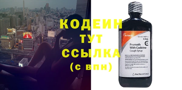 МДПВ Инсар