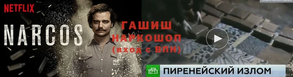 МДПВ Инсар
