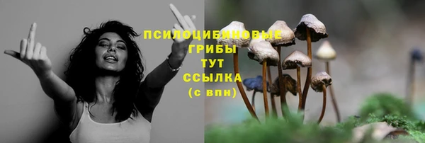 МДПВ Инсар
