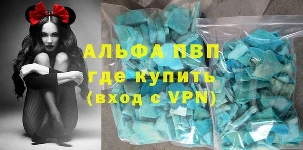 МДПВ Инсар