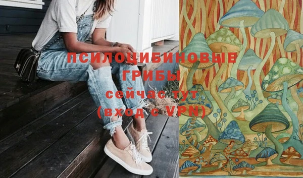 кокс Инта