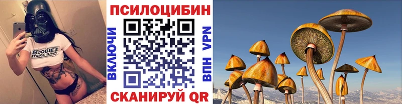 Псилоцибиновые грибы Psilocybine cubensis  Купить где  Рыльск 
